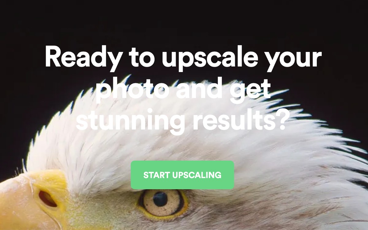 مُكبّر صور الذكاء الاصطناعي: حوّل صورك المرئية